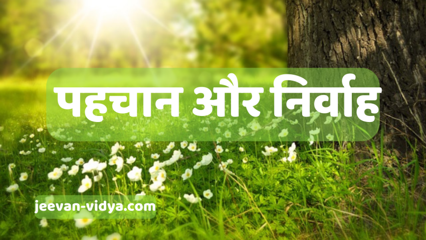 पहचान और निर्वाह