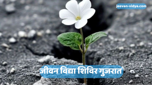 जीवन विद्या परिचय शिविर गुजरात 2024